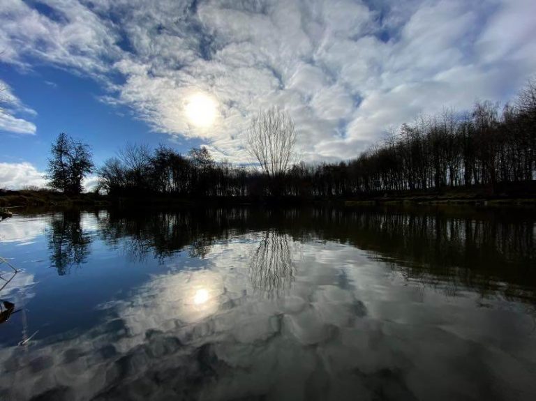 Brafferton Carp Fishery