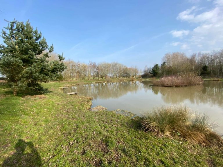 Brafferton Carp Fishery