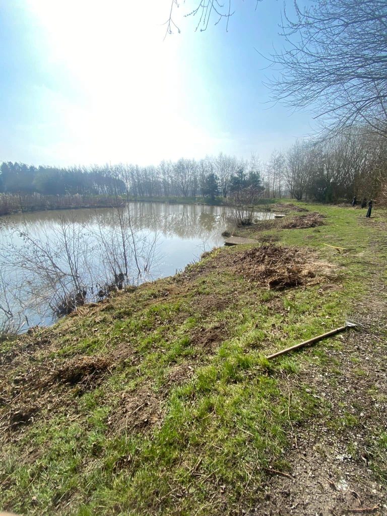 Brafferton Carp Fishery