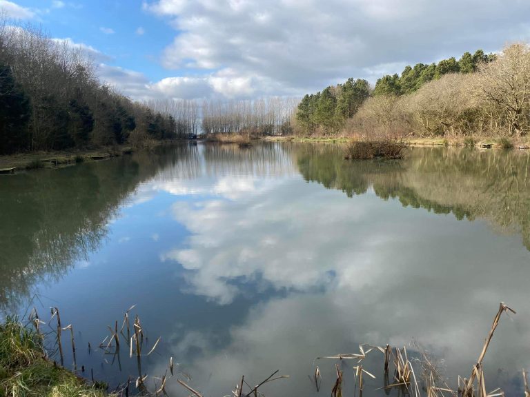 Brafferton Carp Fishery